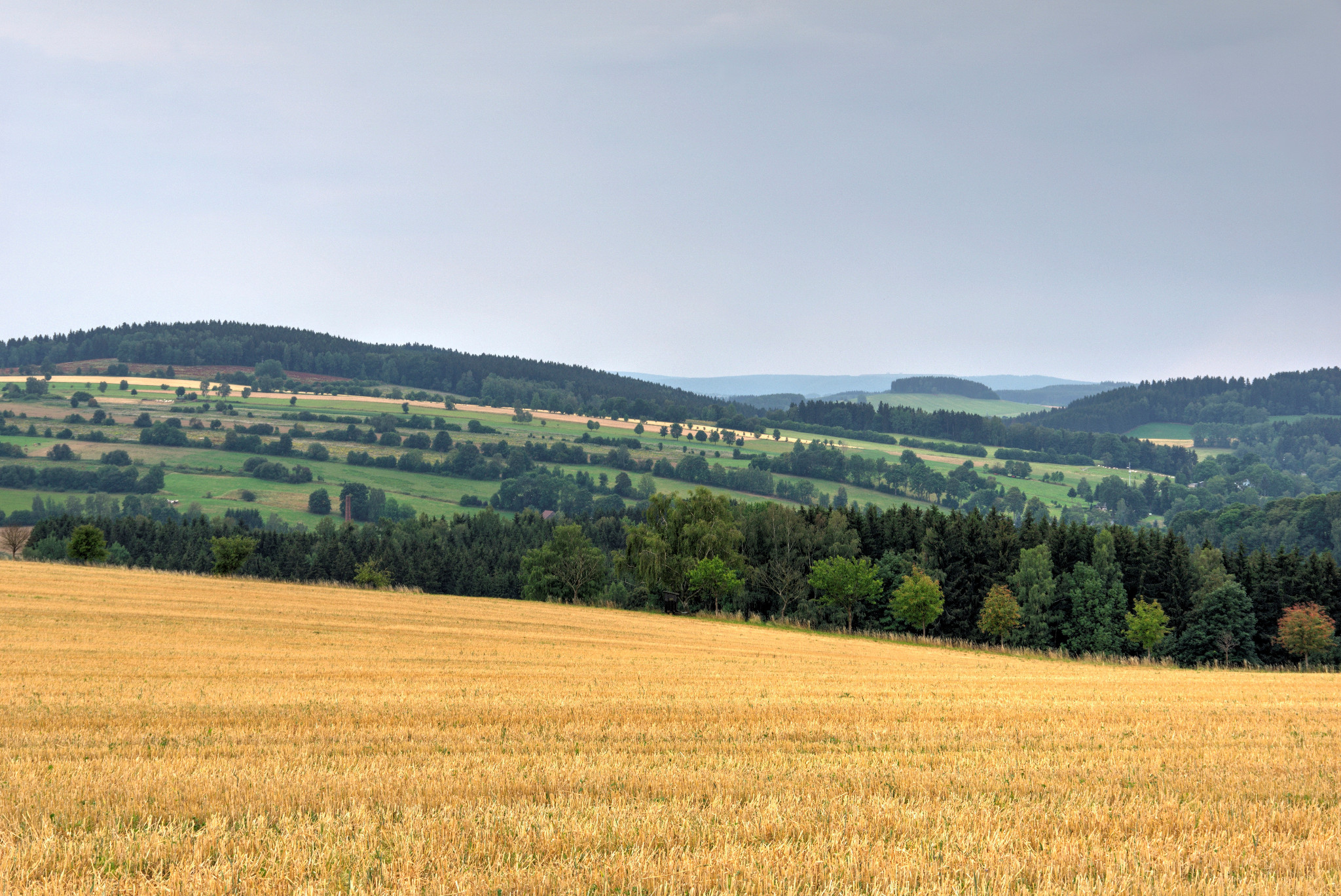 Schönfeld - Ende Juli 2018