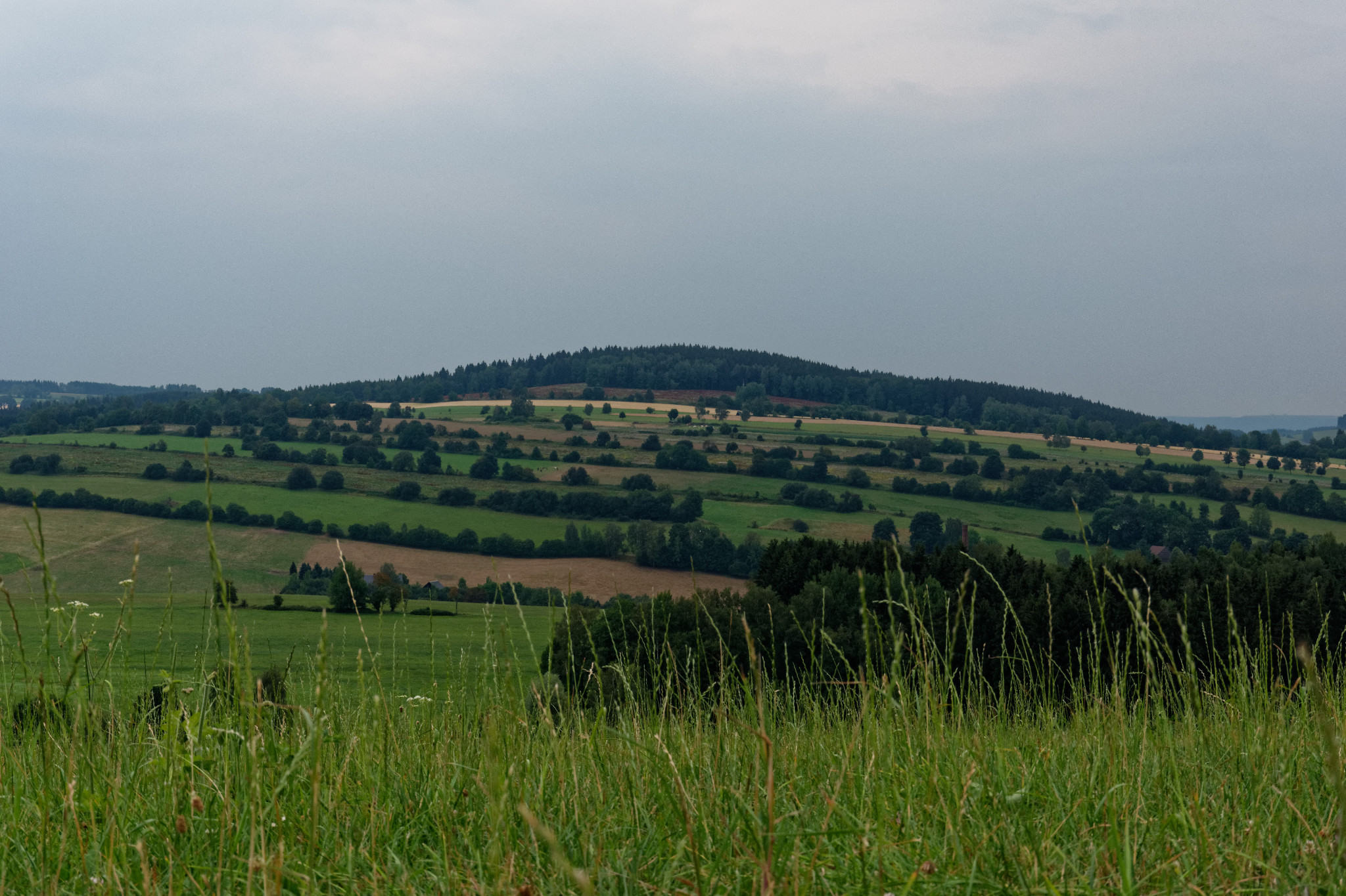 Schönfeld - Ende Juli 2018