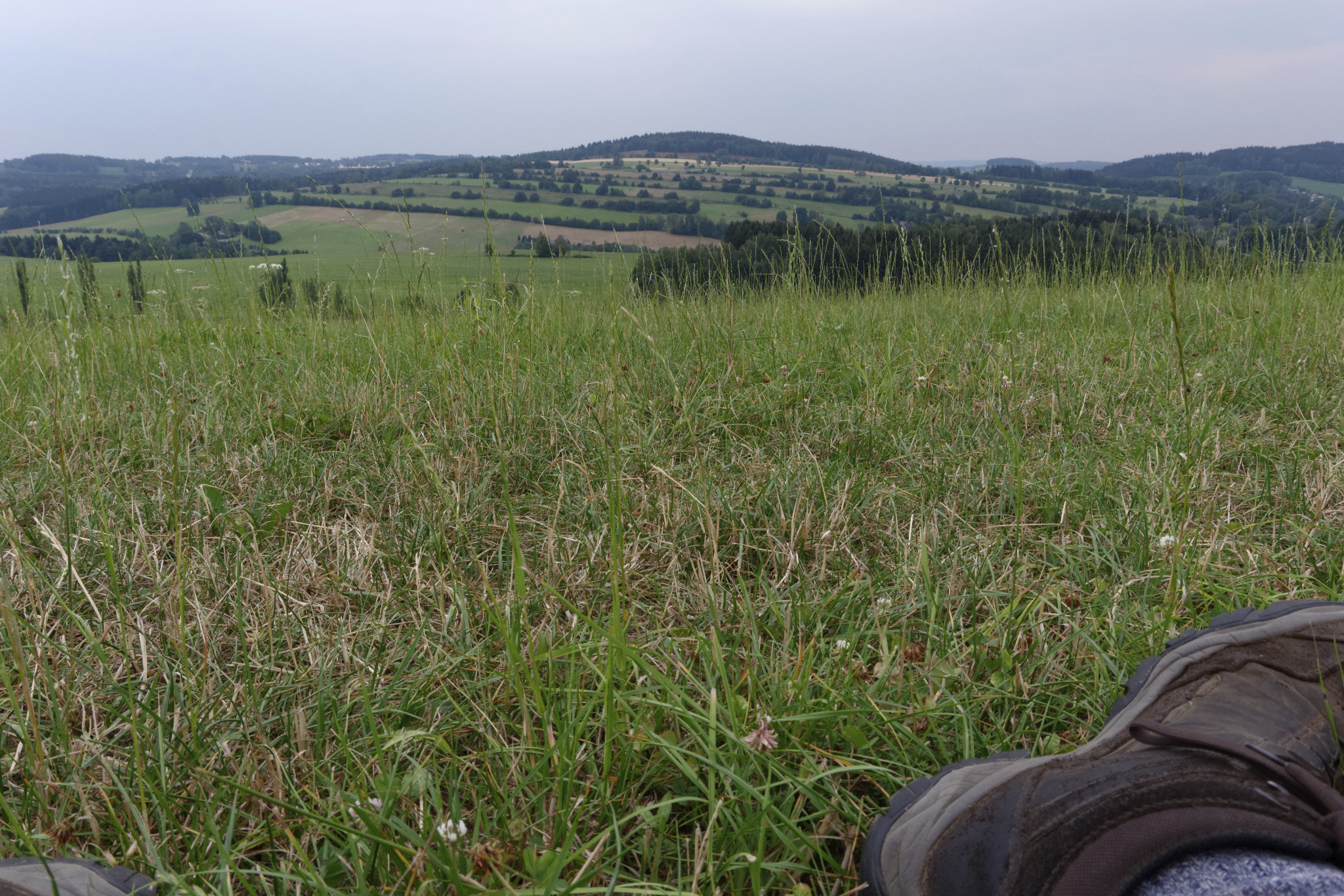 Schönfeld - Ende Juli 2018