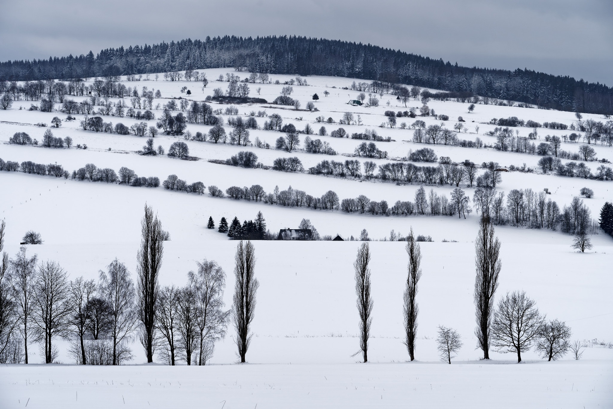 Schönfeld im Erzgebirge