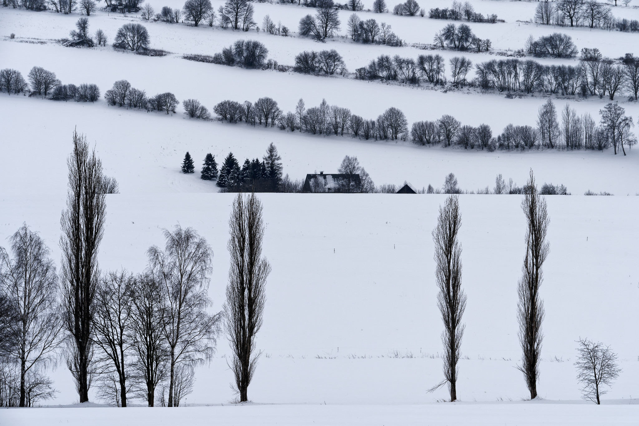 Schönfeld im Erzgebirge