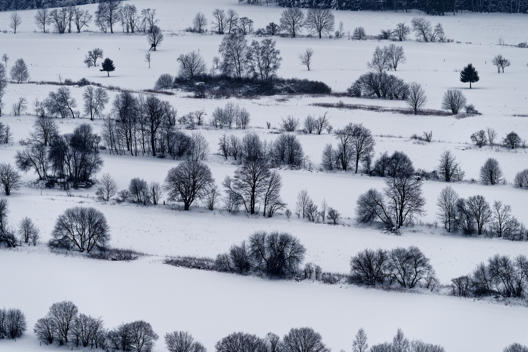 Schönfeld im Erzgebirge