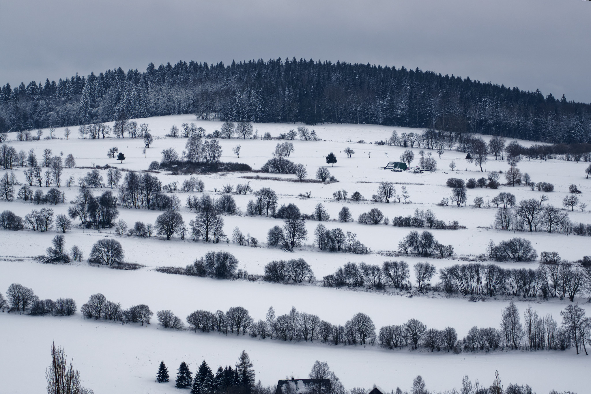 Schönfeld im Erzgebirge