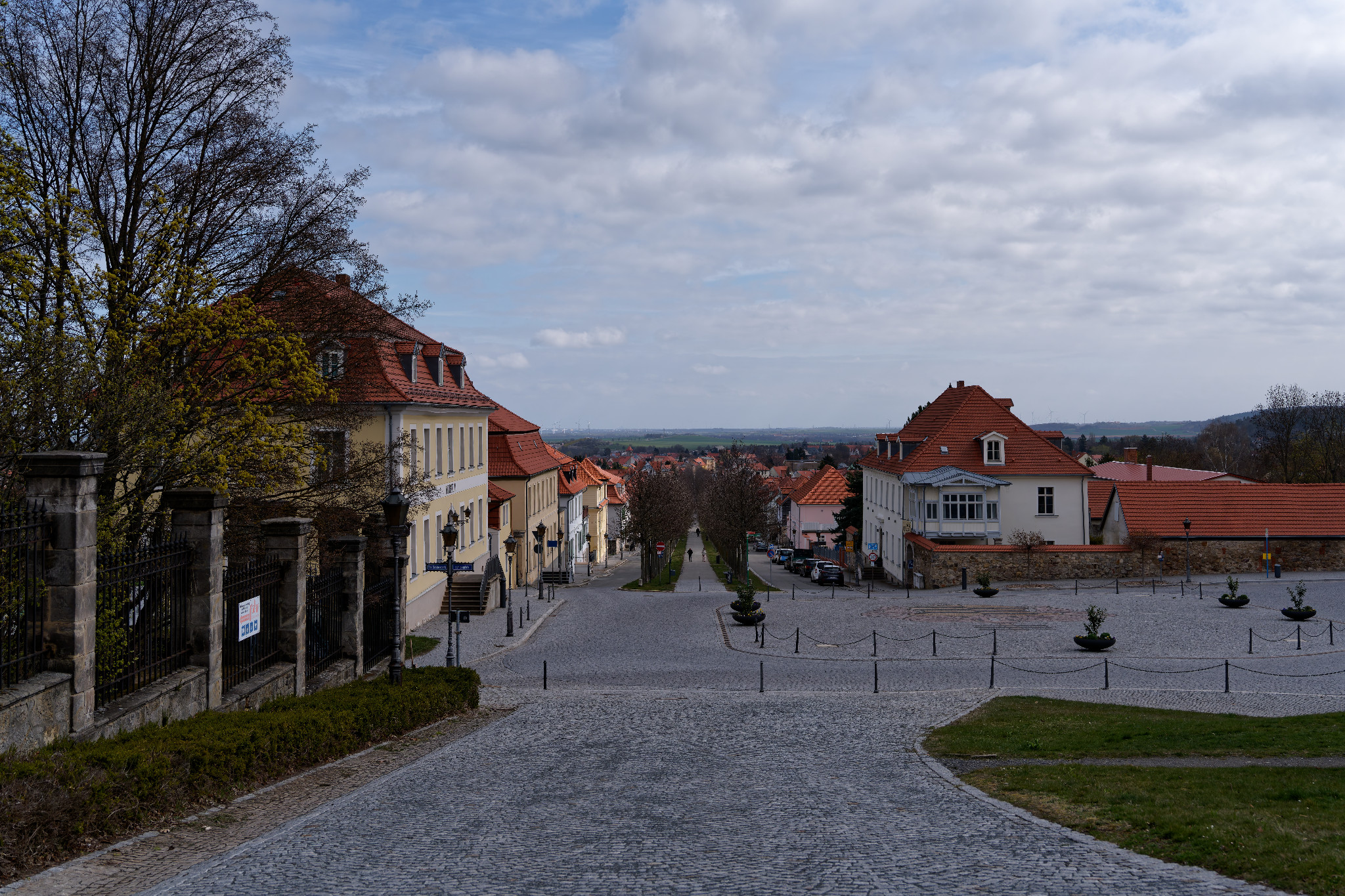 Blick auf die Allee von Ballenstedt