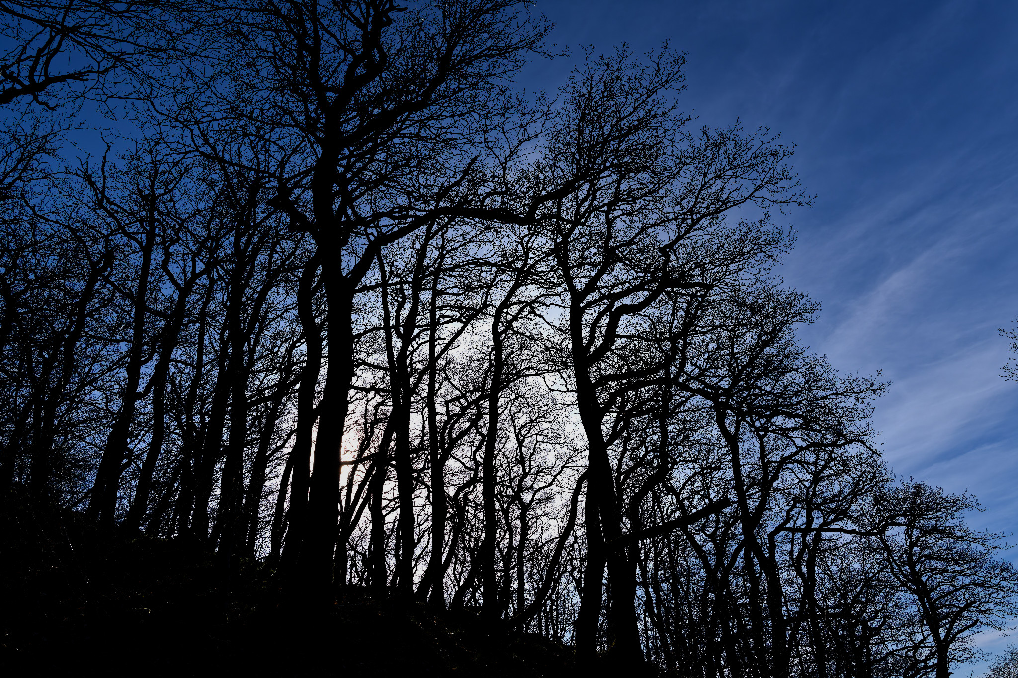 Kyffhäuser - Barbarossa