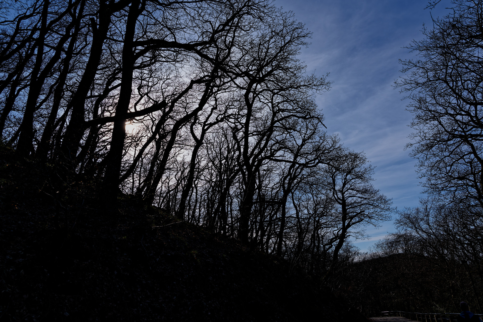 Kyffhäuser - Barbarossa