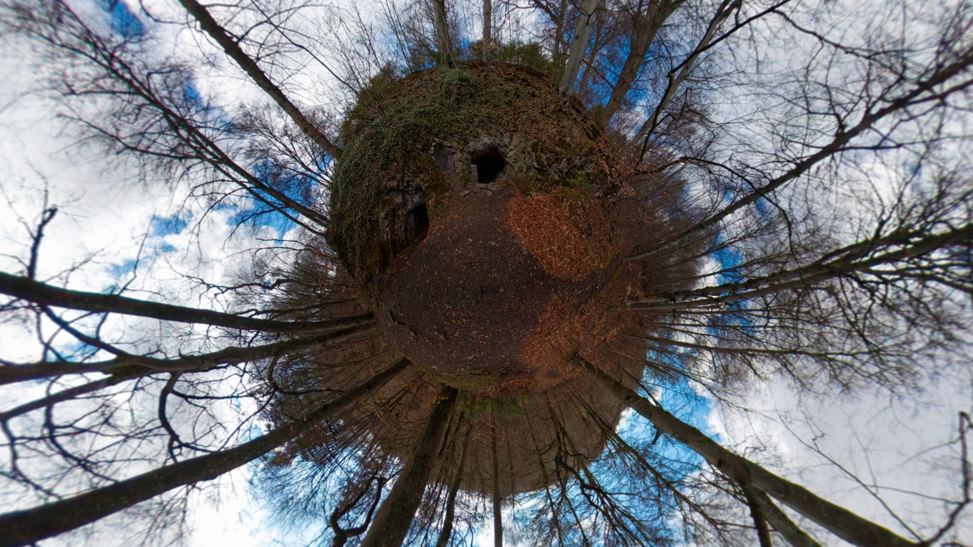 Hoehle Michaelstein 02
