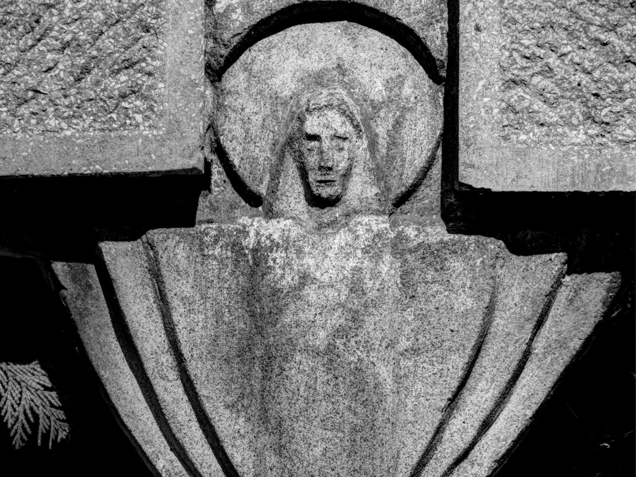 Stary cmentarz - Tarnów 09/2013