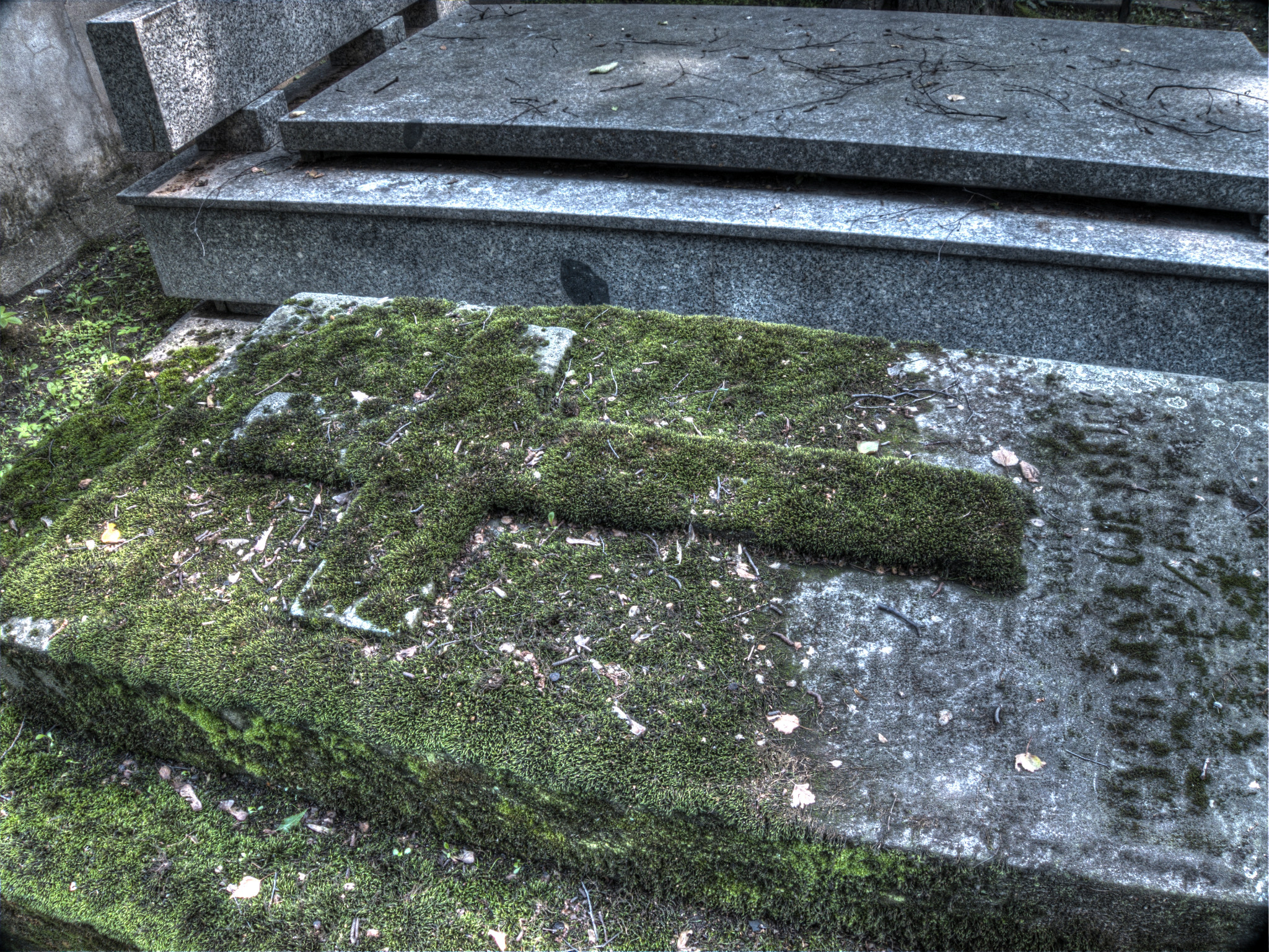 Stary cmentarz - Tarnów 09/2013