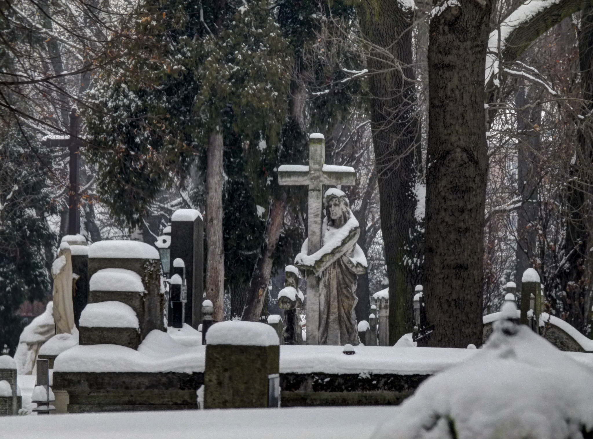 Stary cmentarz - Tarnów 01/2014