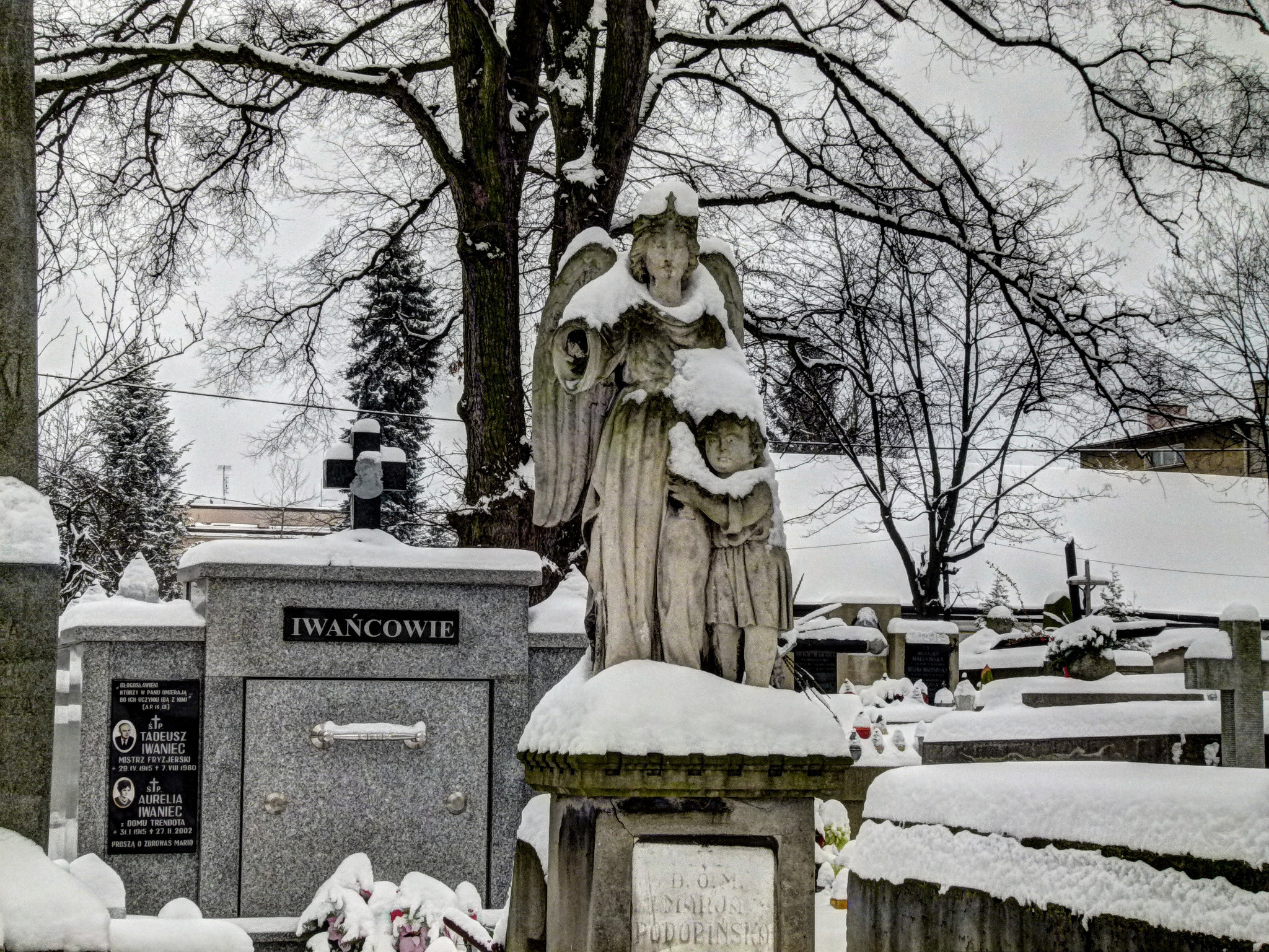 Stary cmentarz - Tarnów 01/2014