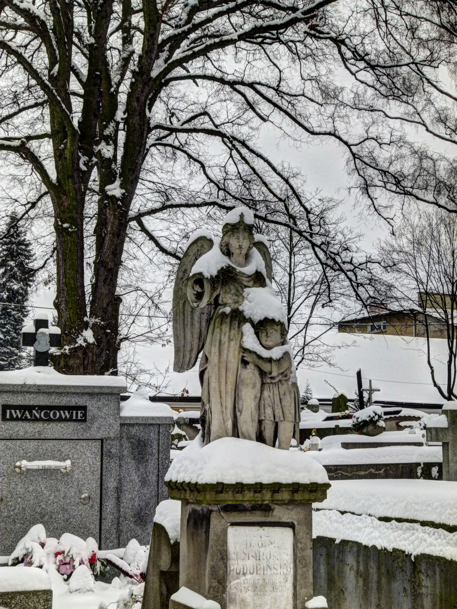 Stary cmentarz - Tarnów 01/2014