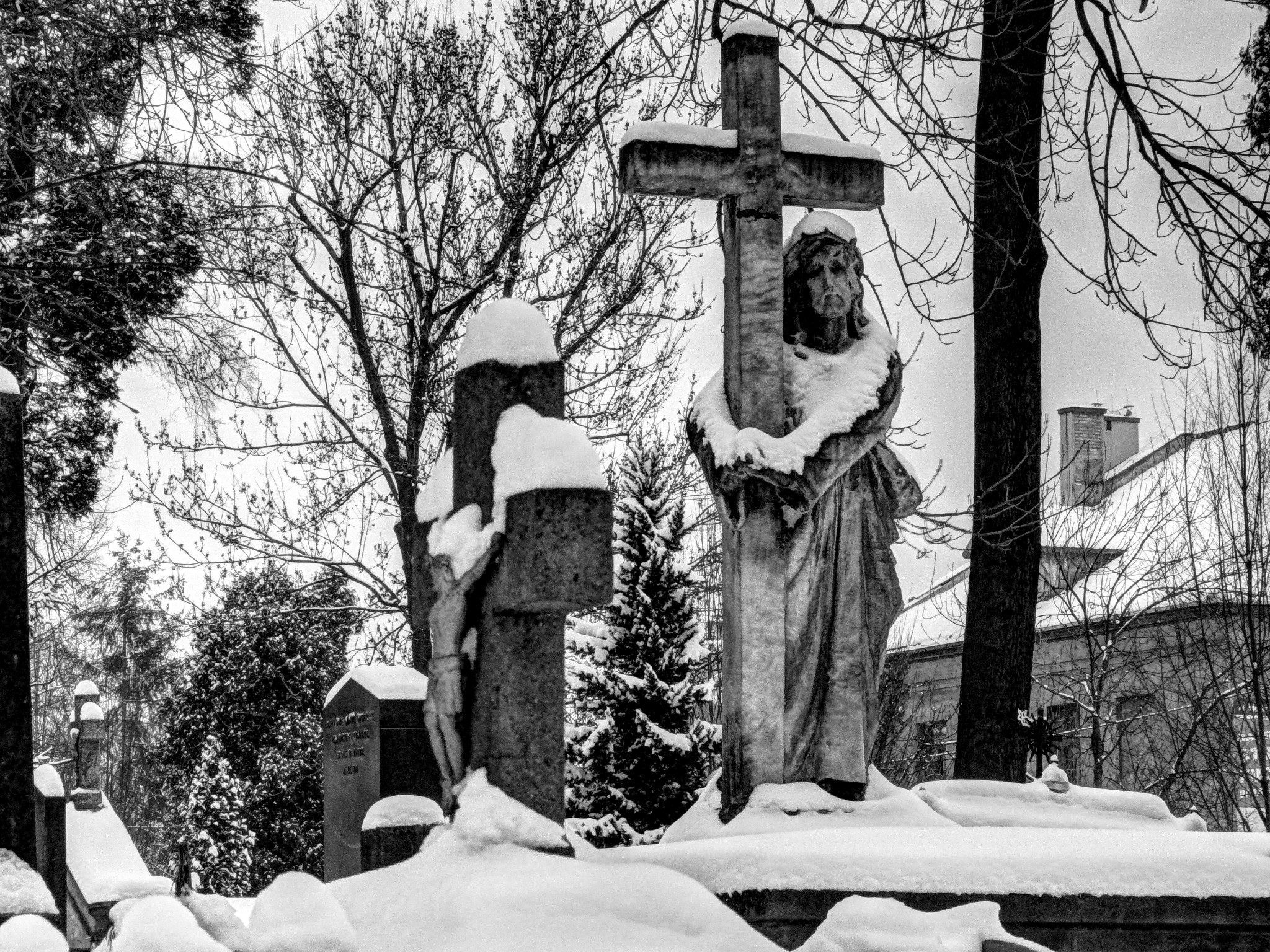 Stary cmentarz - Tarnów 01/2014