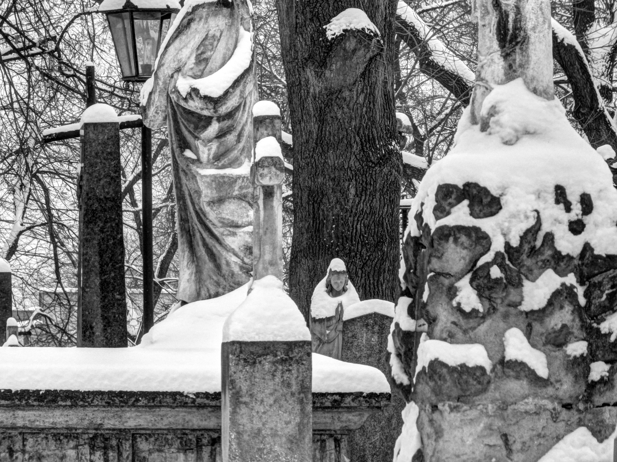 Stary cmentarz - Tarnów 01/2014