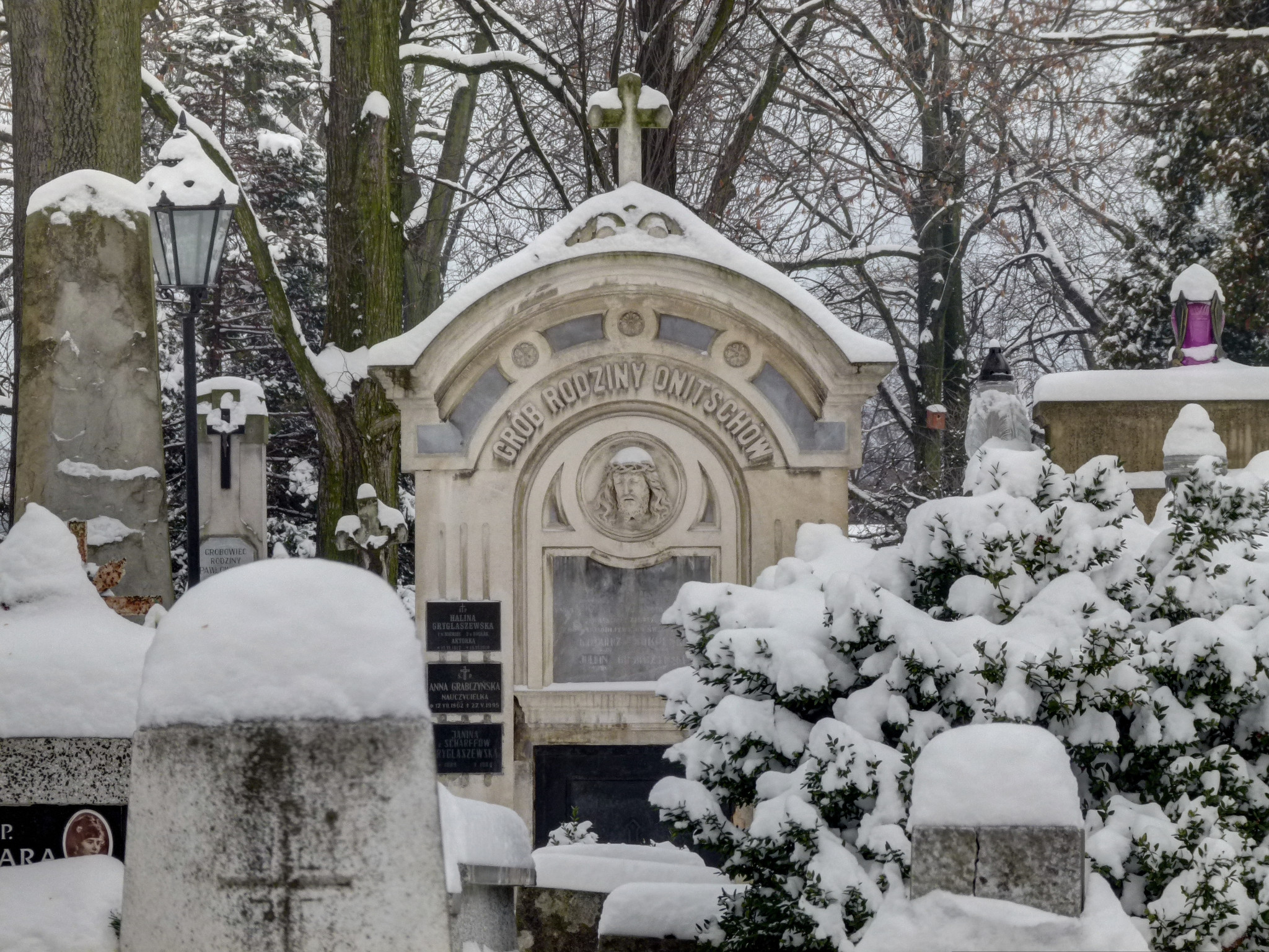Stary cmentarz - Tarnów 01/2014