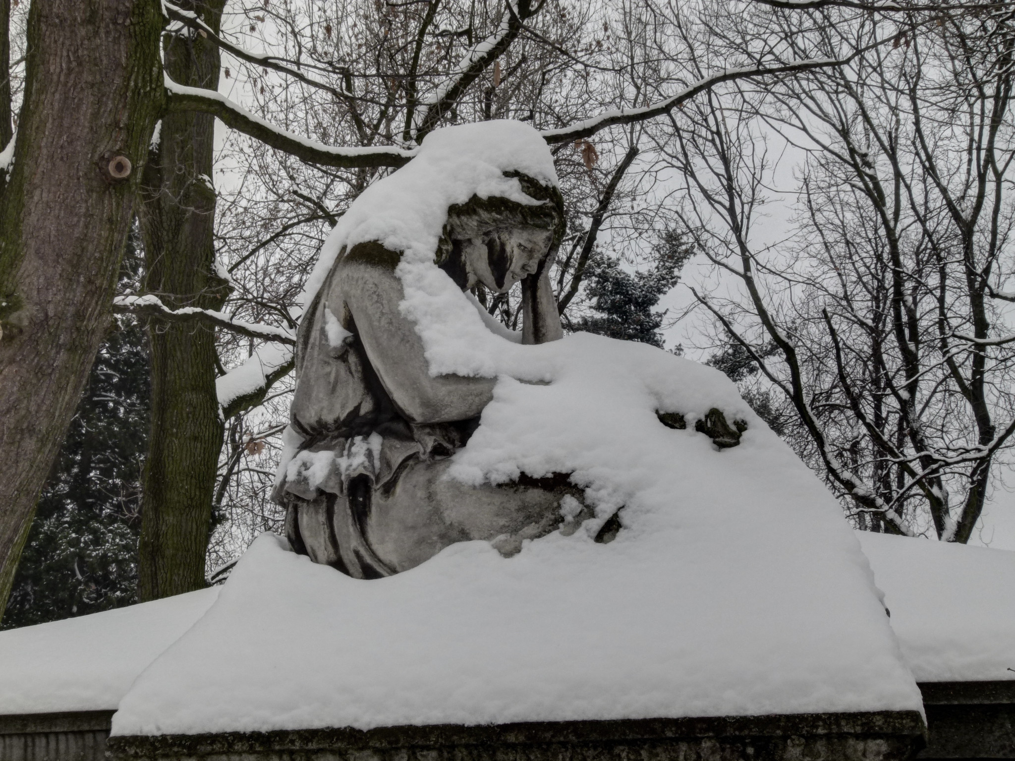 Stary cmentarz - Tarnów 01/2014