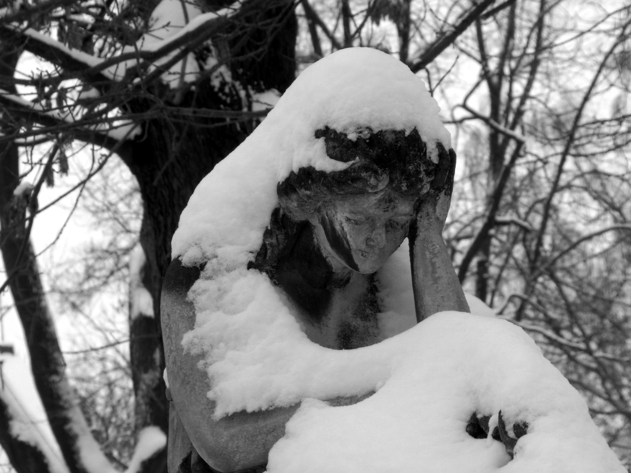 Stary cmentarz - Tarnów 01/2014