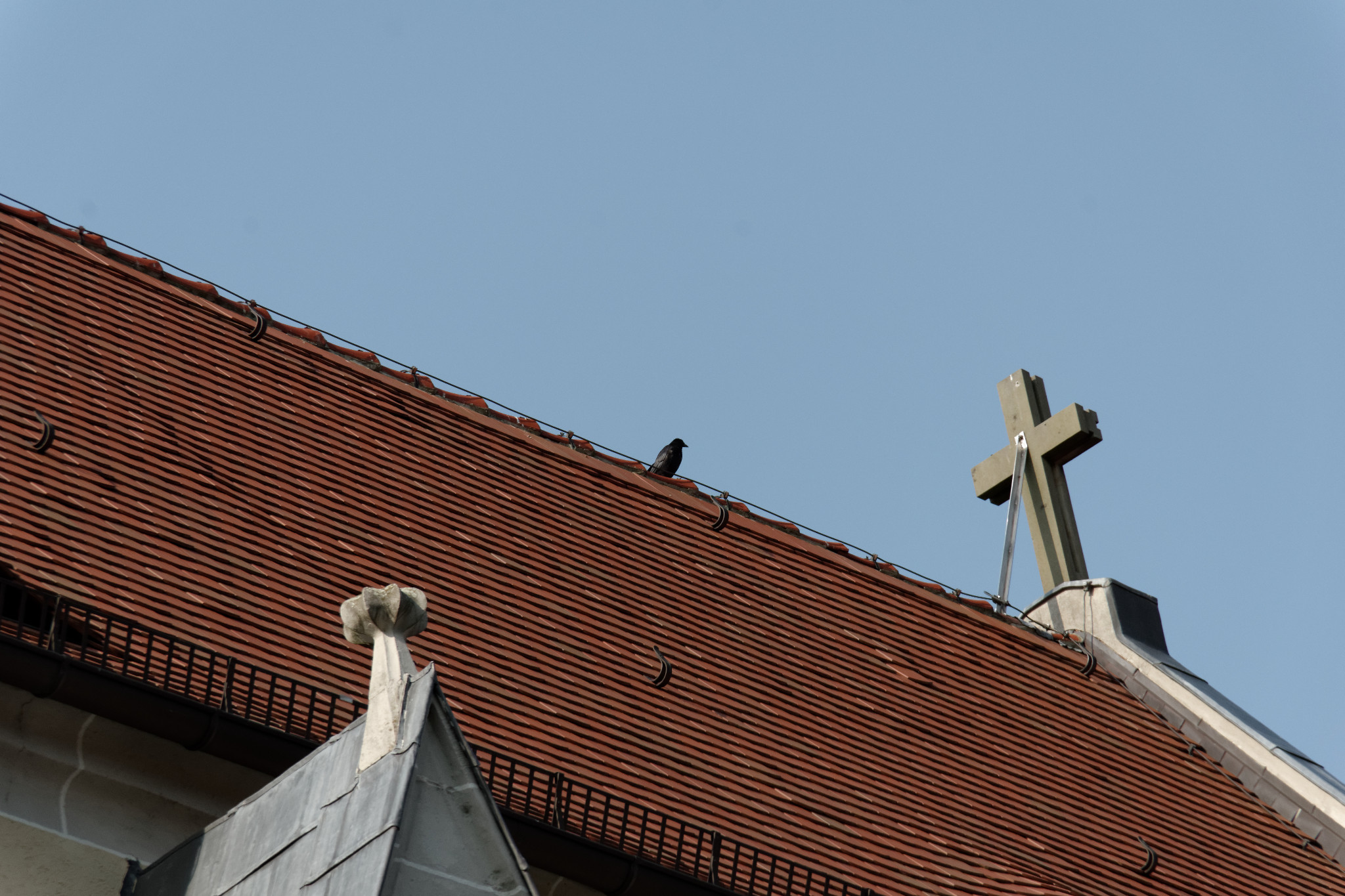 St.Afra - Meißen Aug. 2017