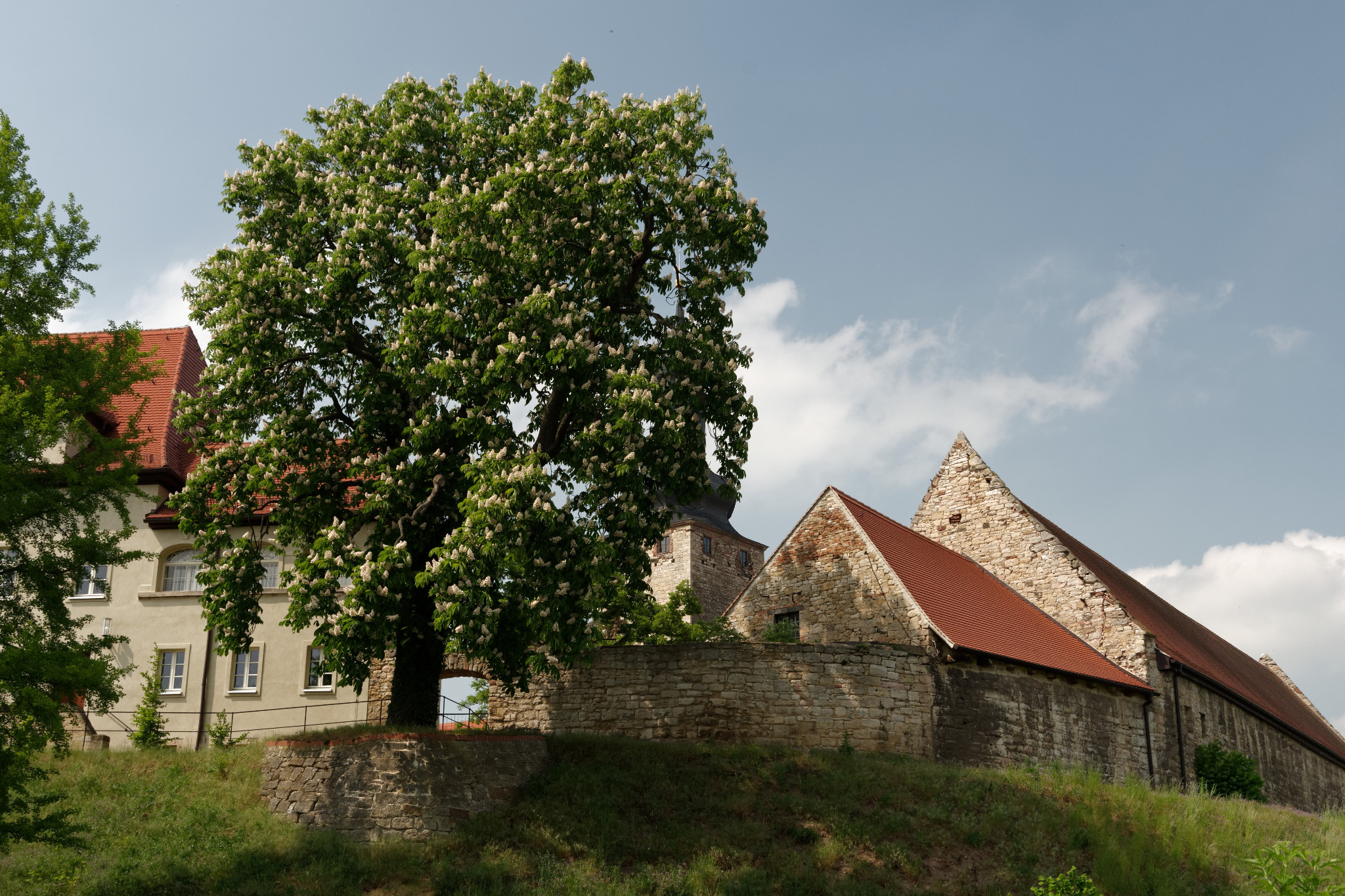 Querfurt