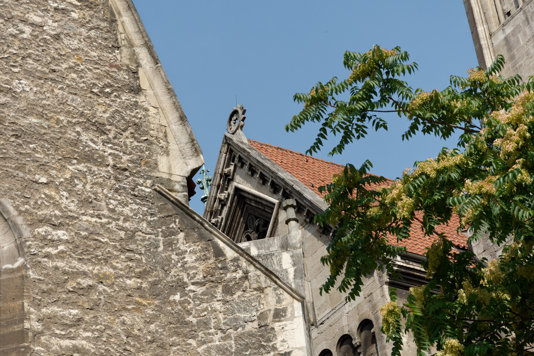 Naumburger Dom - Aug. 2018