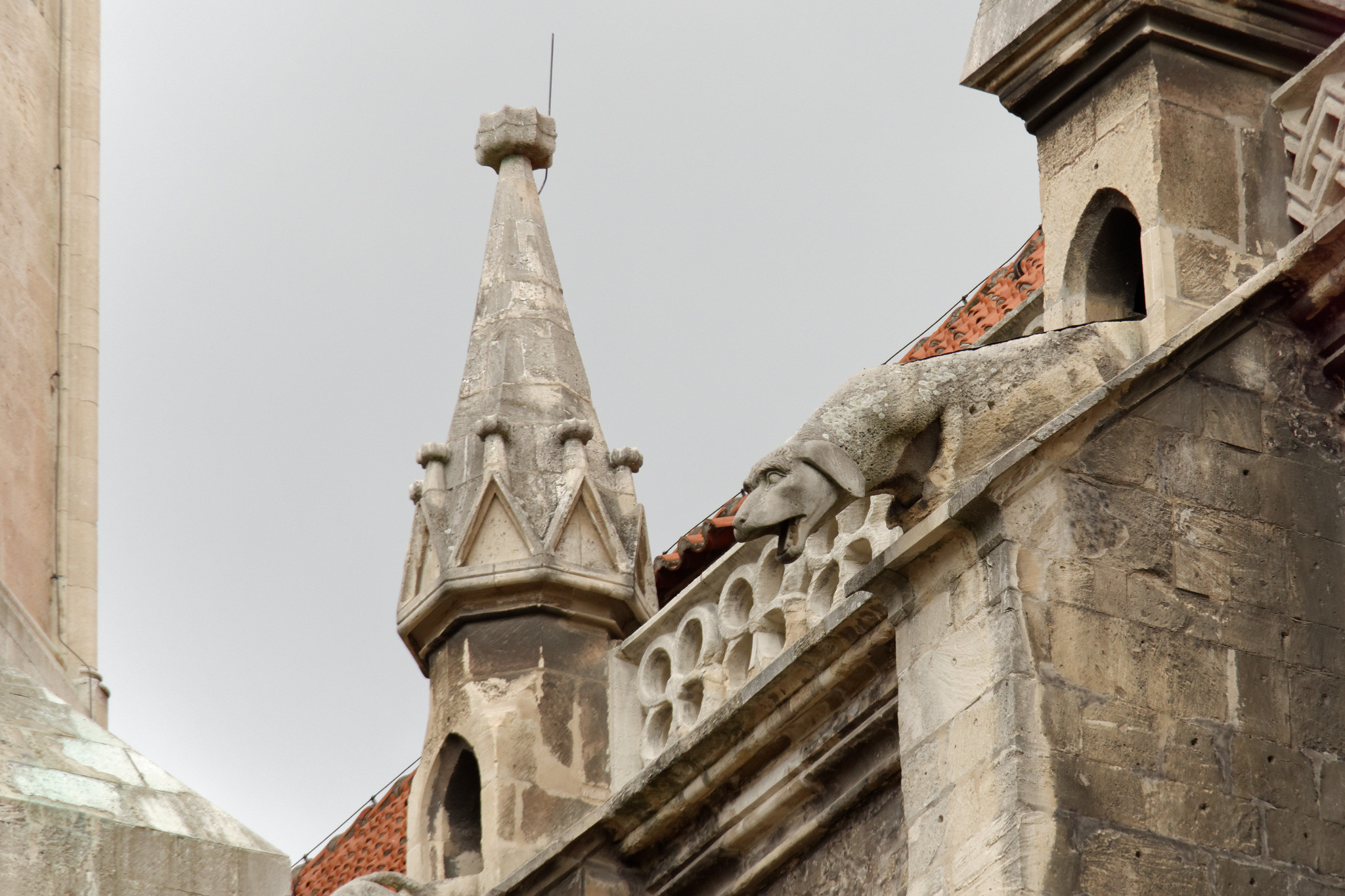 Naumburger Dom - Aug. 2018