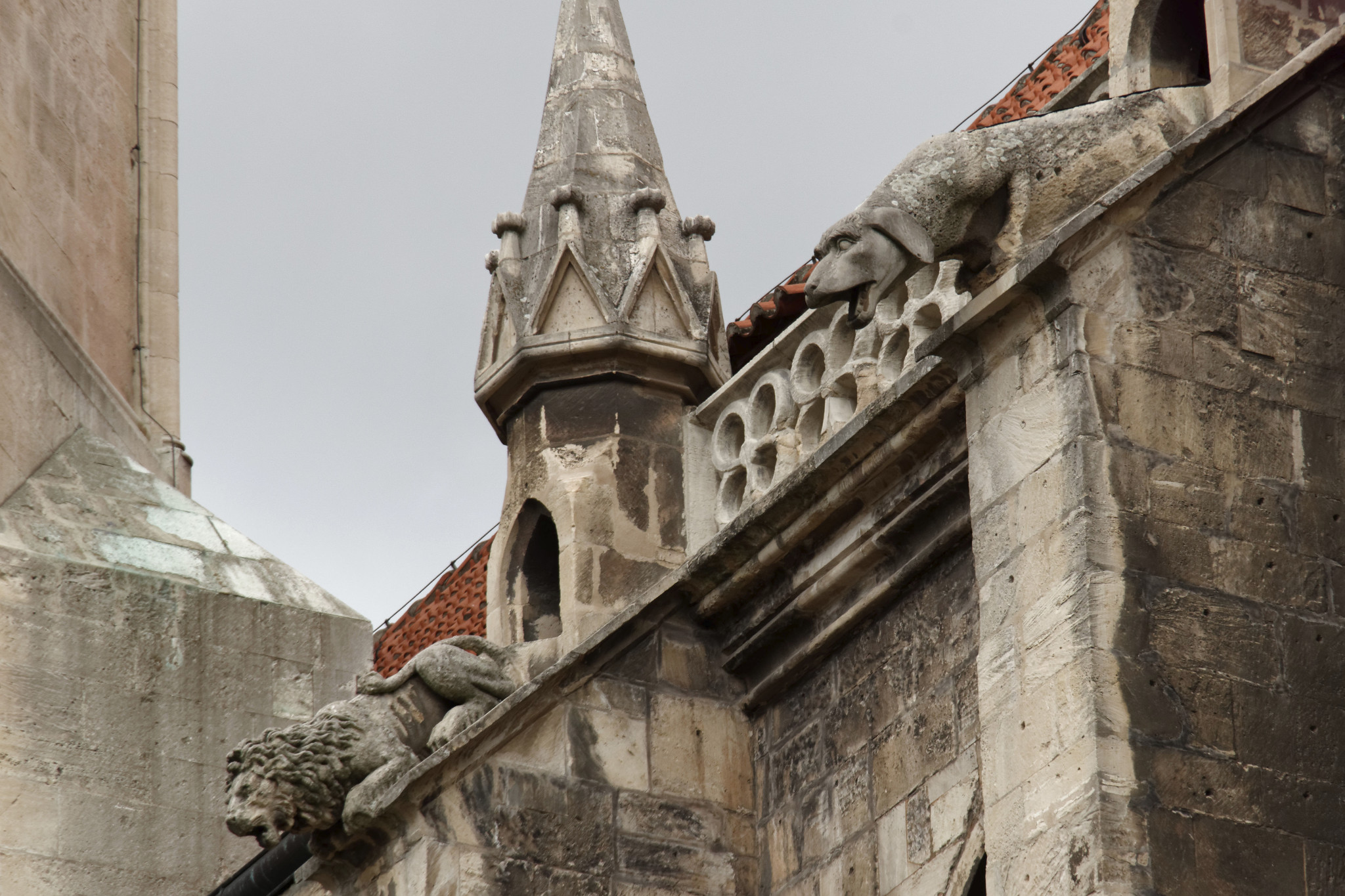 Naumburger Dom - Aug. 2018