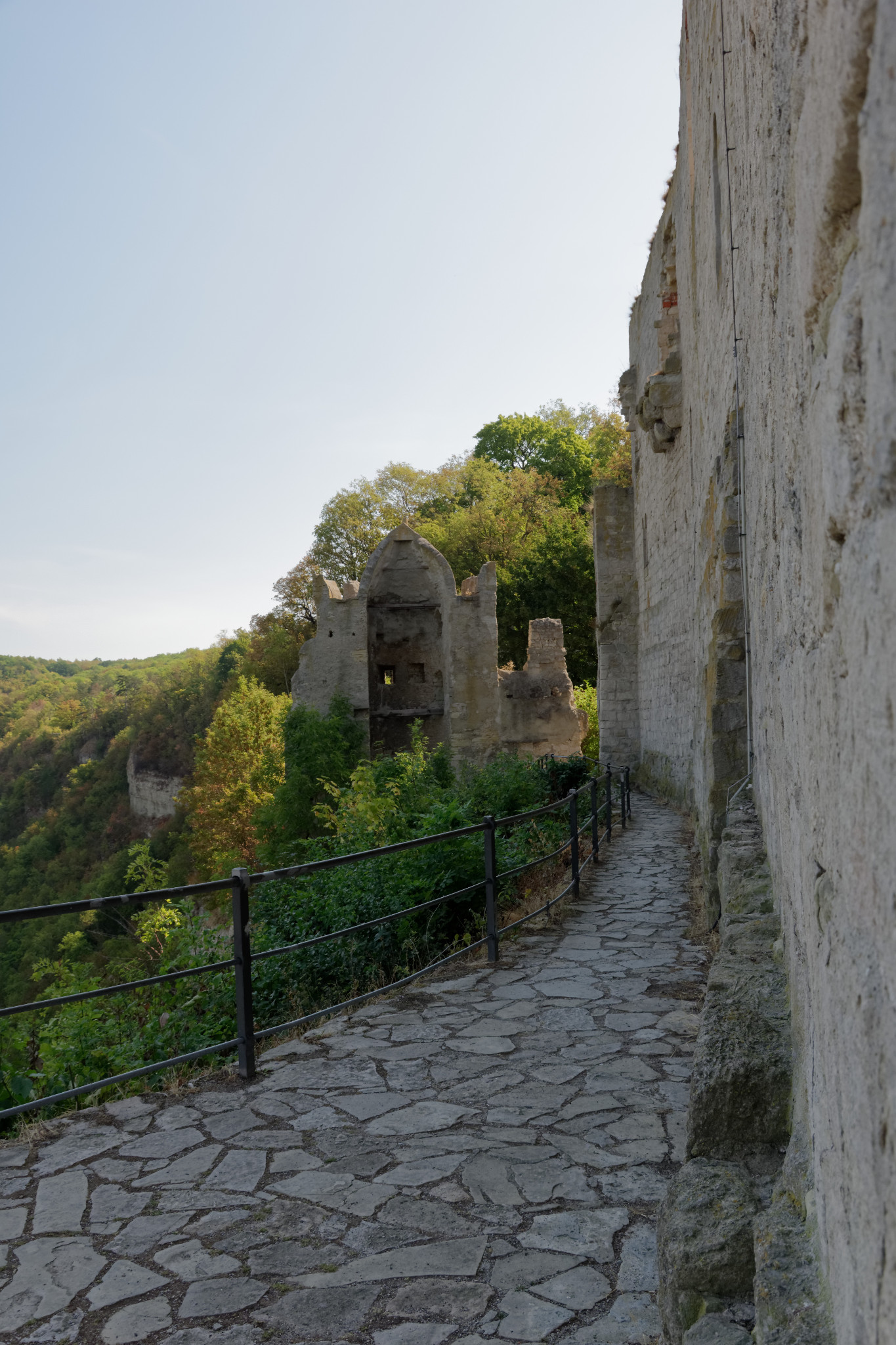Rudelsburg bei Bad Kösen - Aug. 2018