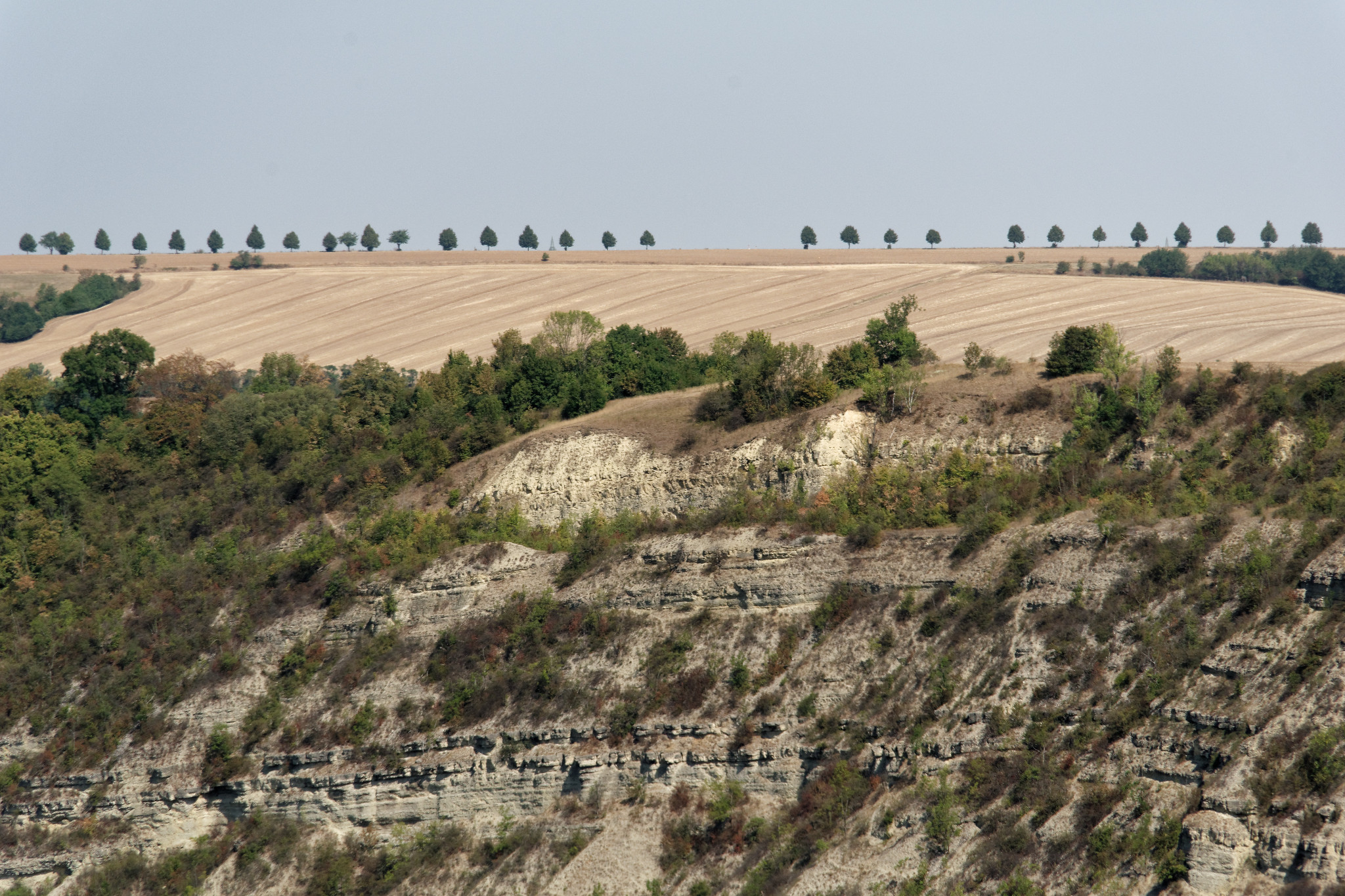 Rudelsburg bei Bad Kösen - Aug. 2018