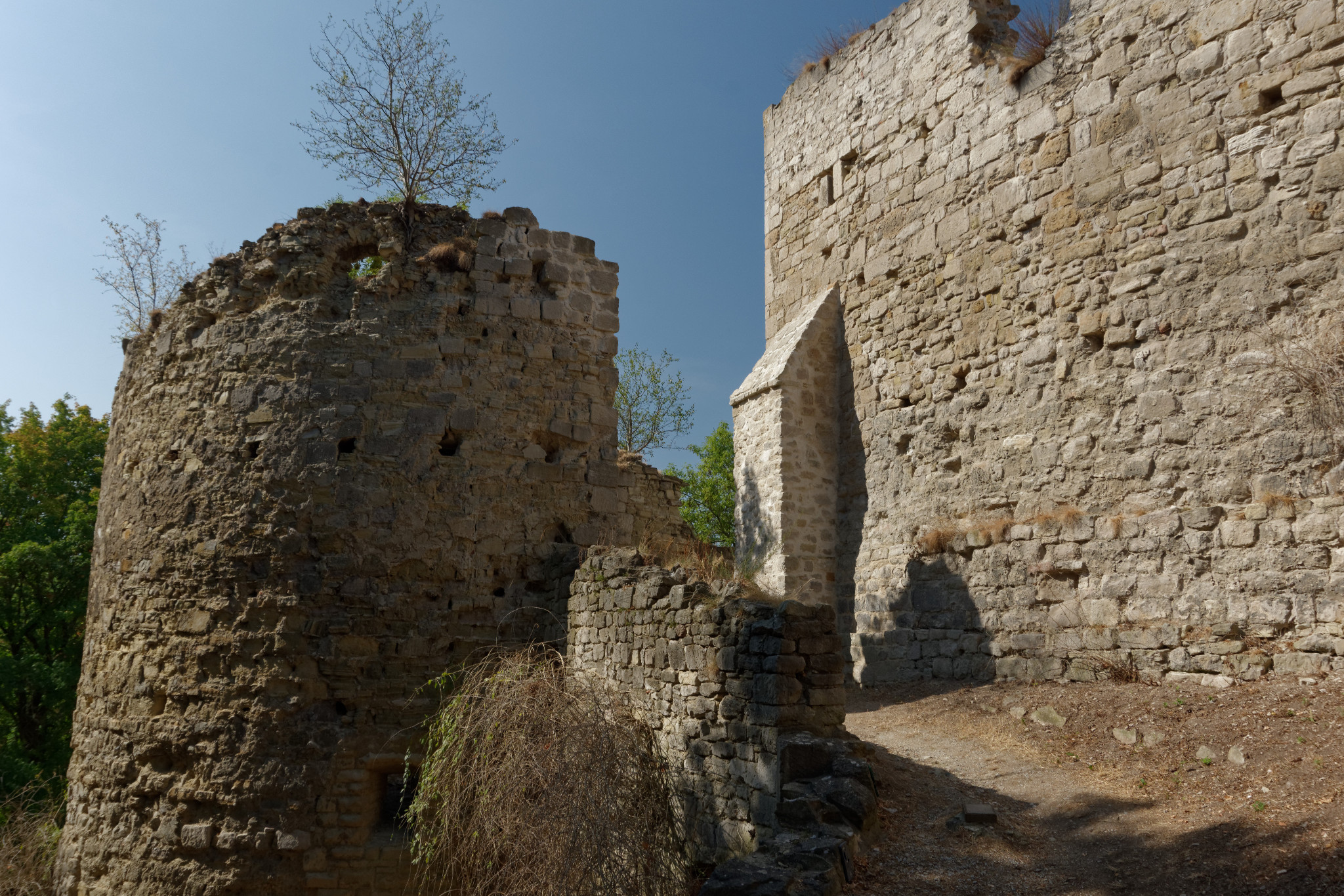Rudelsburg bei Bad Kösen - Aug. 2018