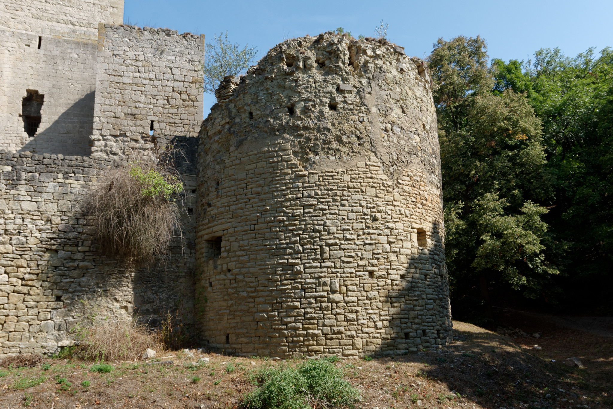 Rudelsburg bei Bad Kösen - Aug. 2018