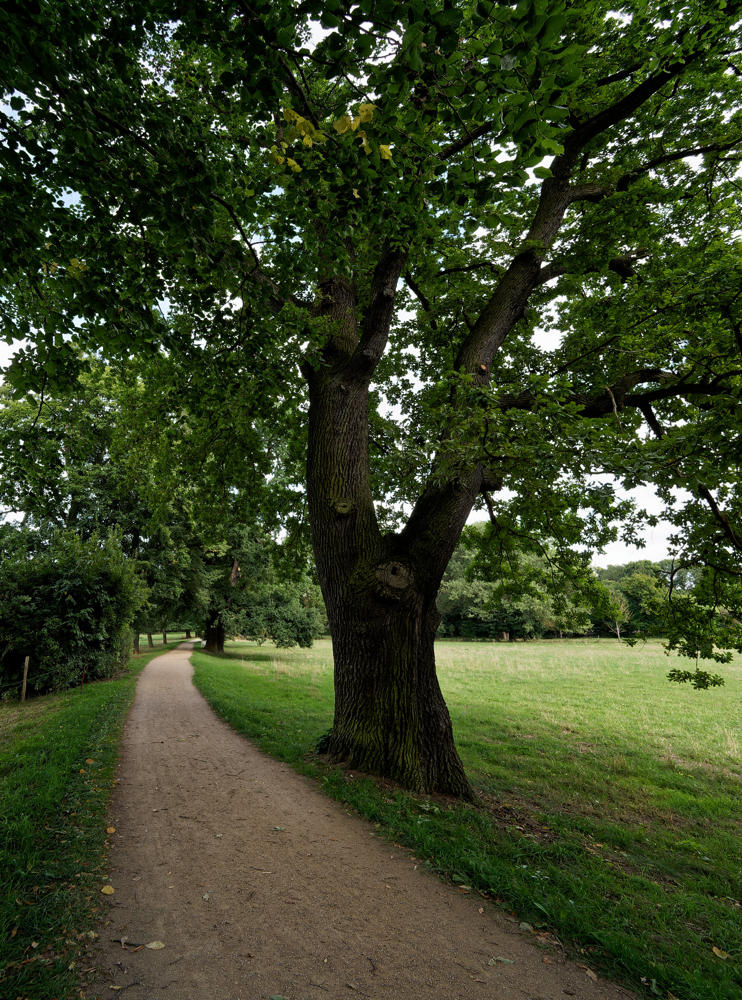 Grünfelder Park