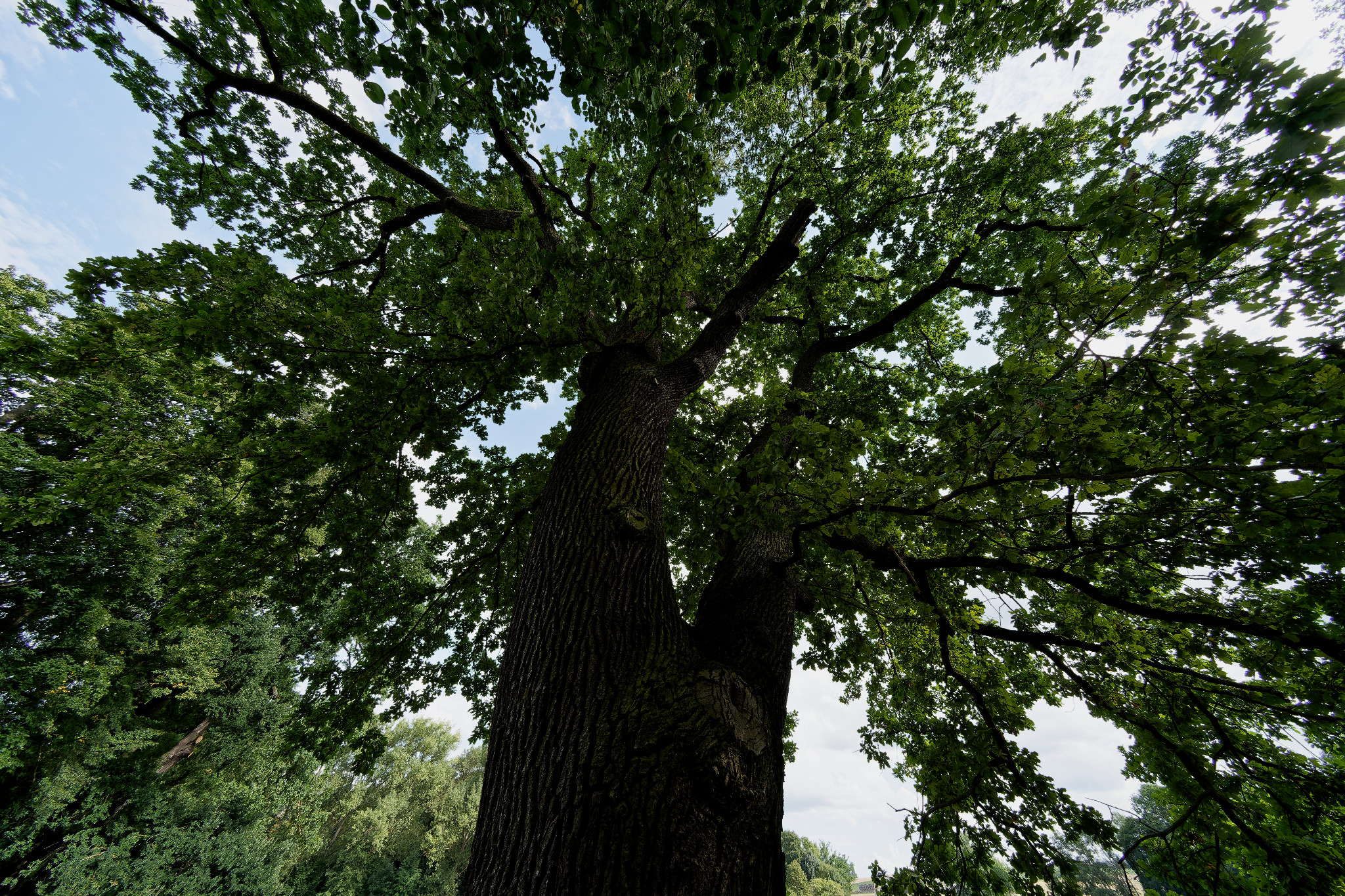 Grünfelder Park