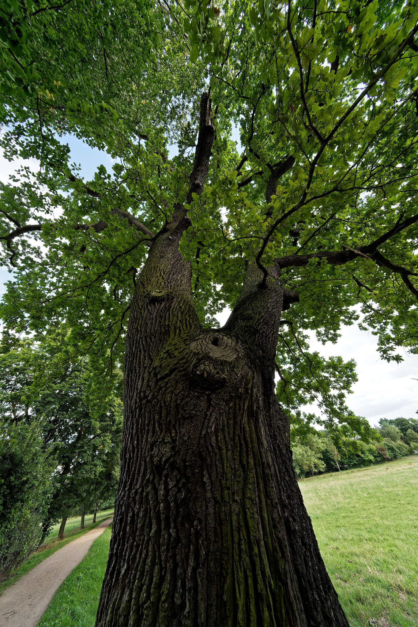 Grünfelder Park