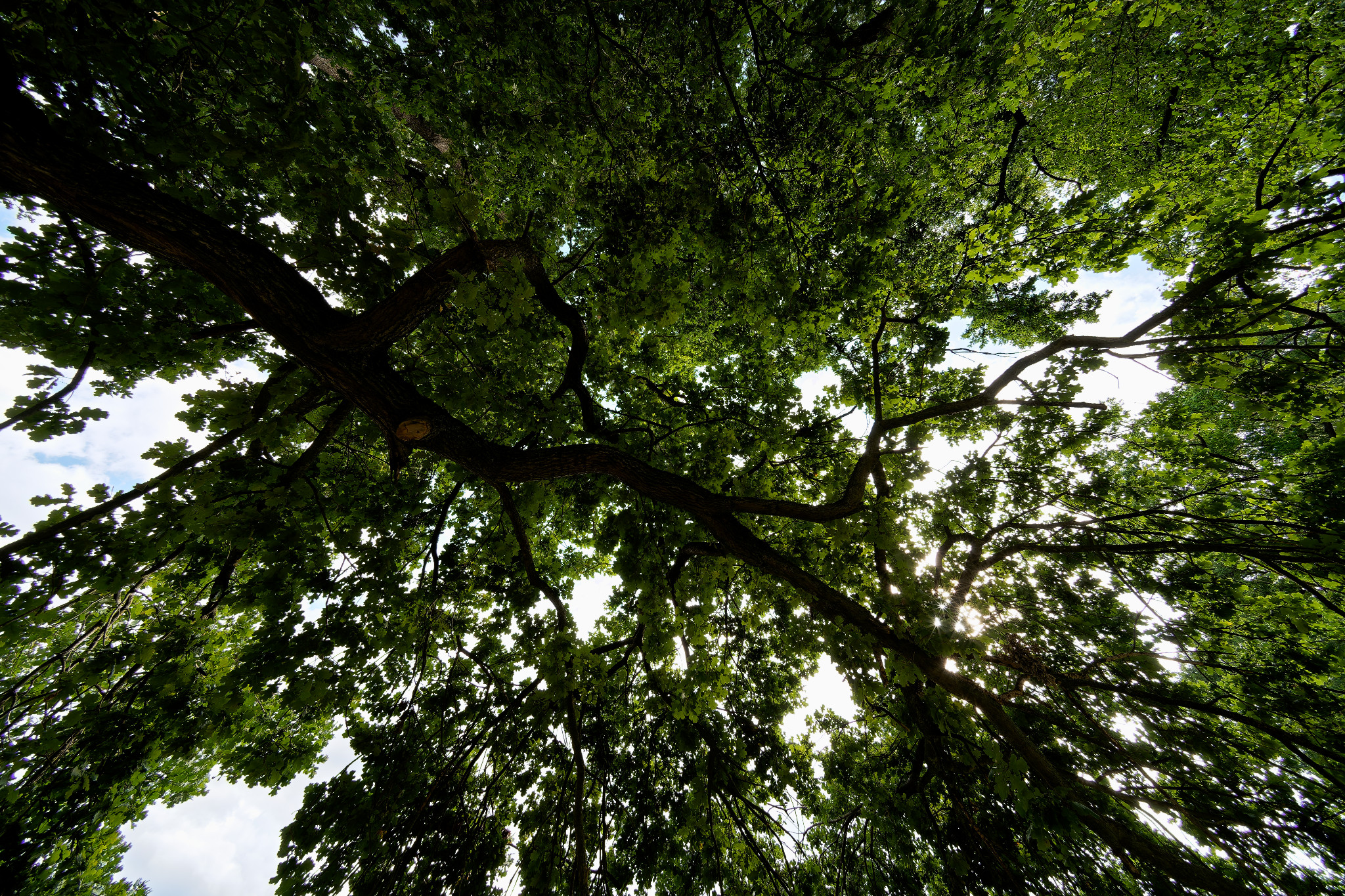 Grünfelder Park