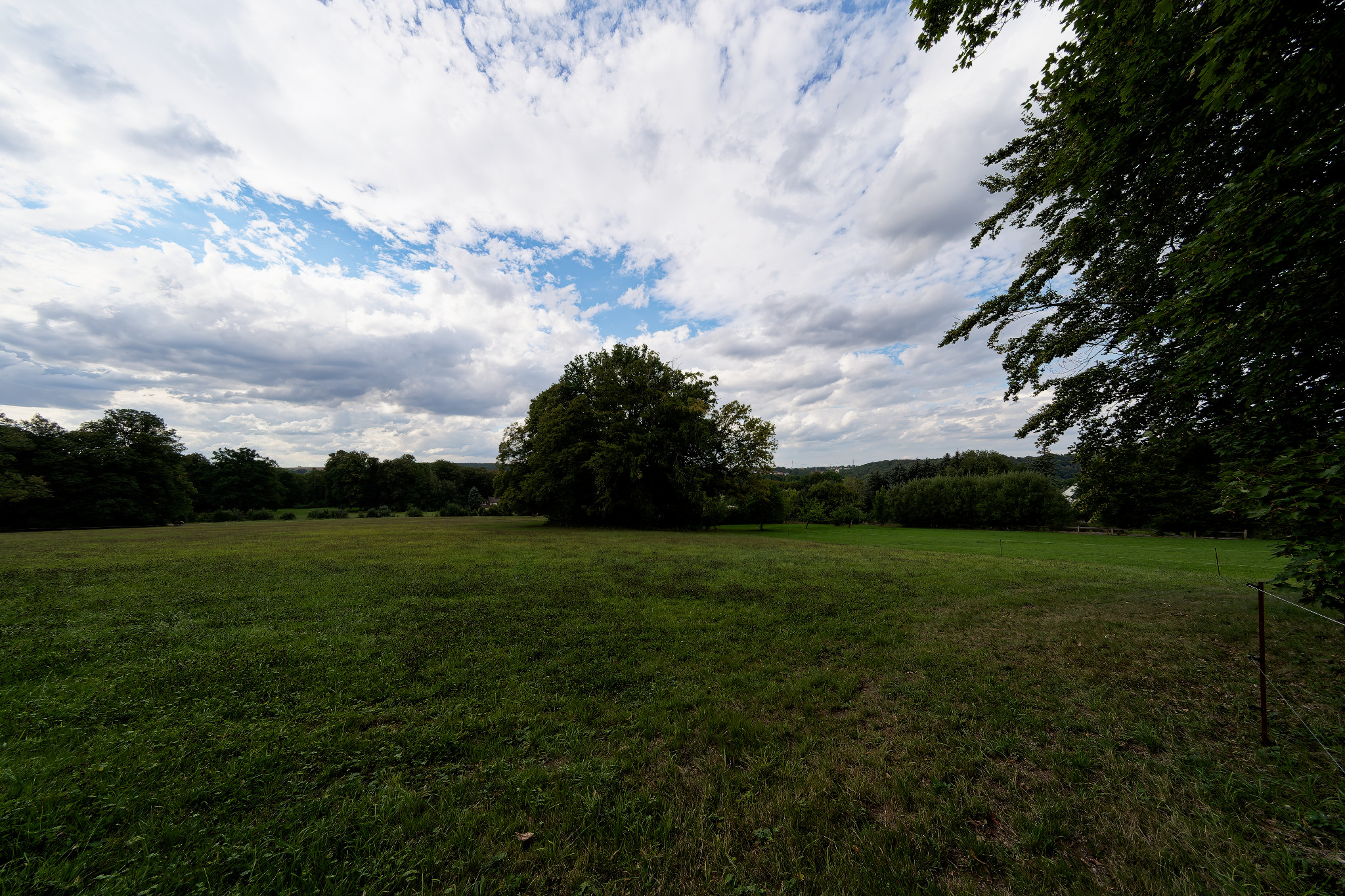 Grünfelder Park