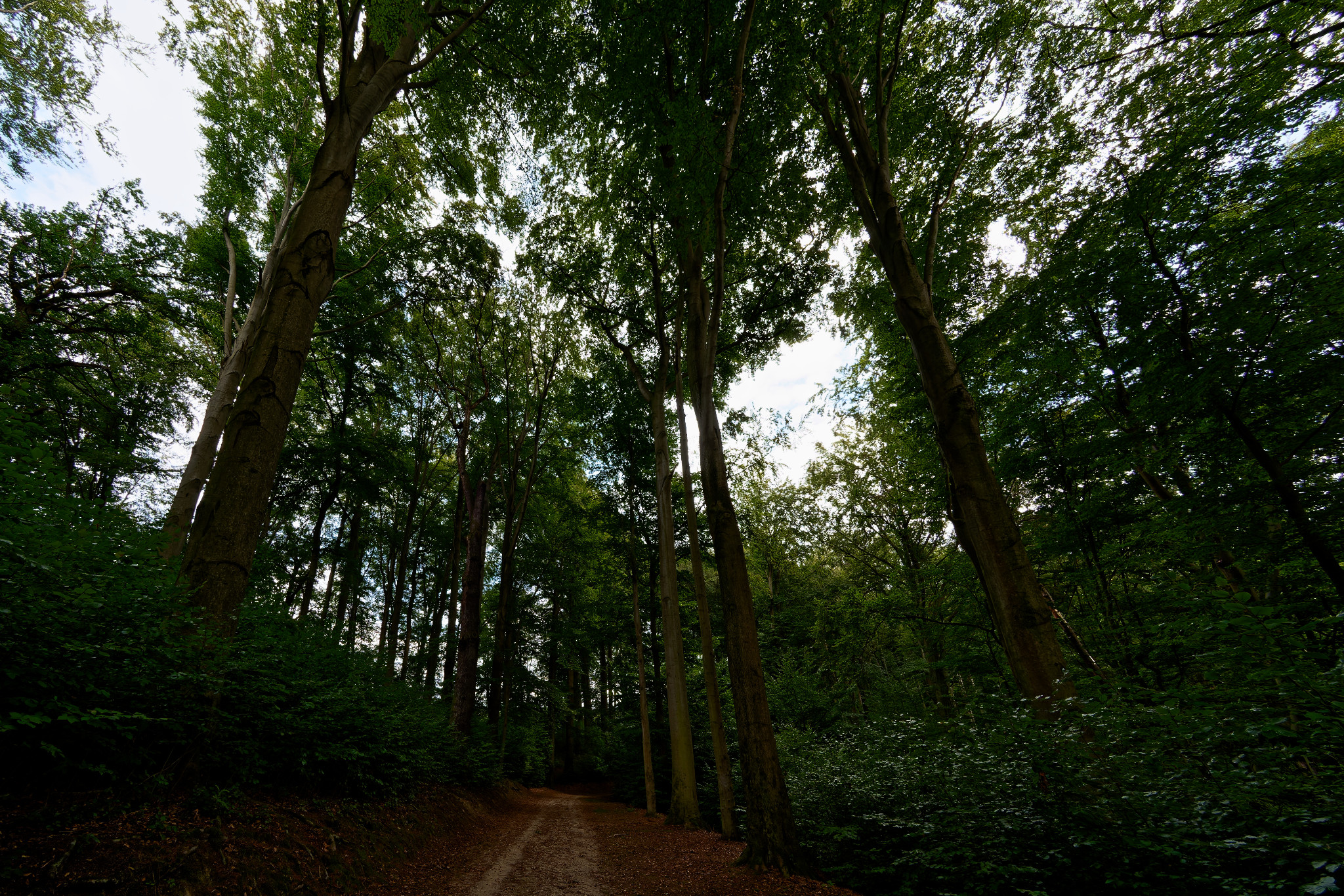 Grünfelder Park