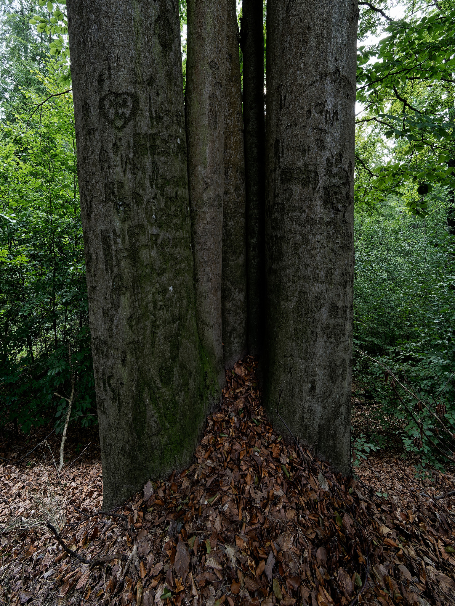 Grünfelder Park