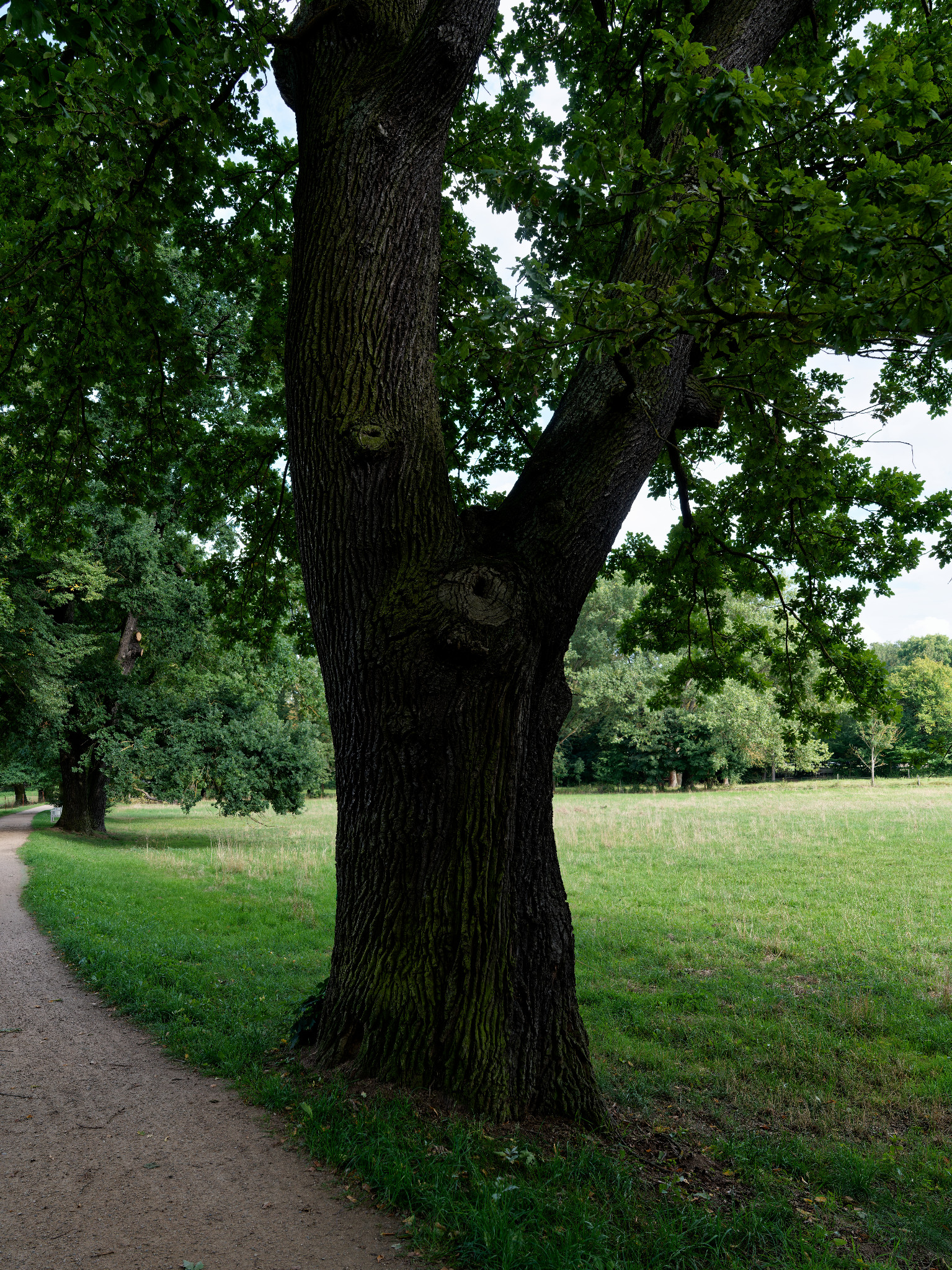 Grünfelder Park