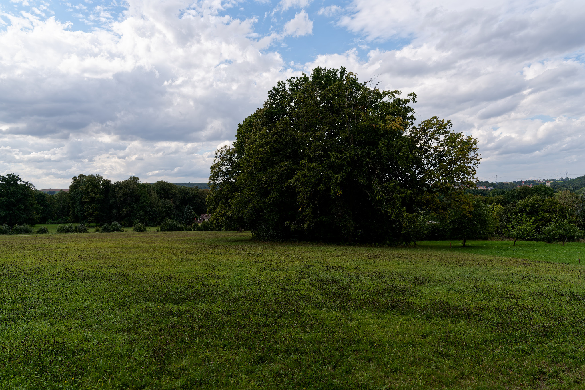 Grünfelder Park