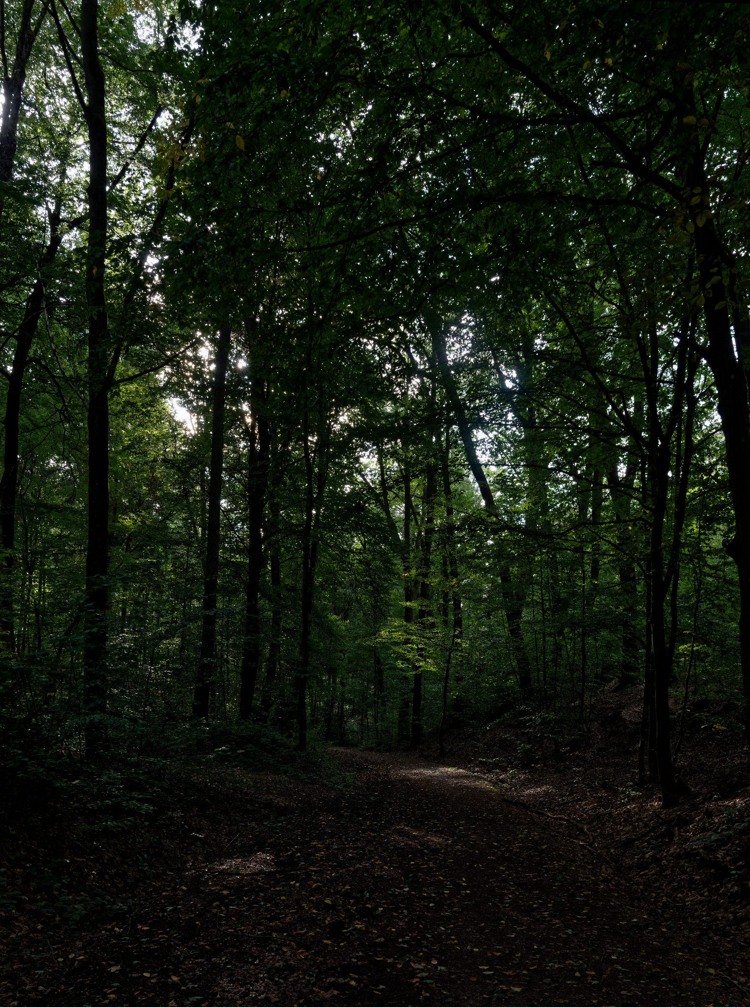 Grünfelder Park