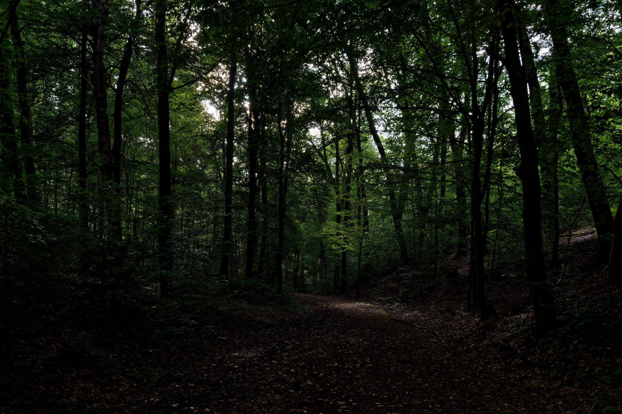 Grünfelder Park